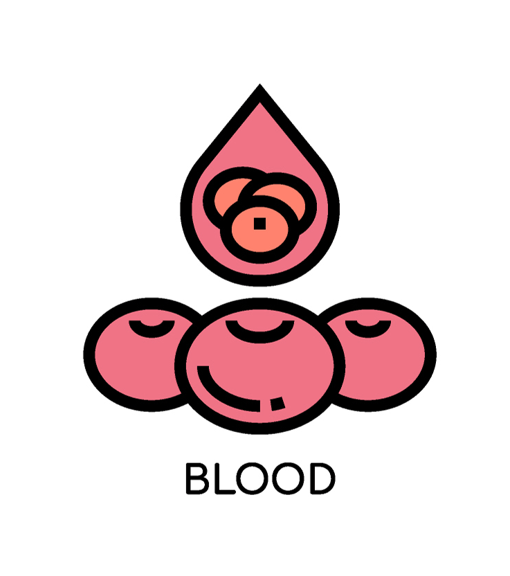 Blood