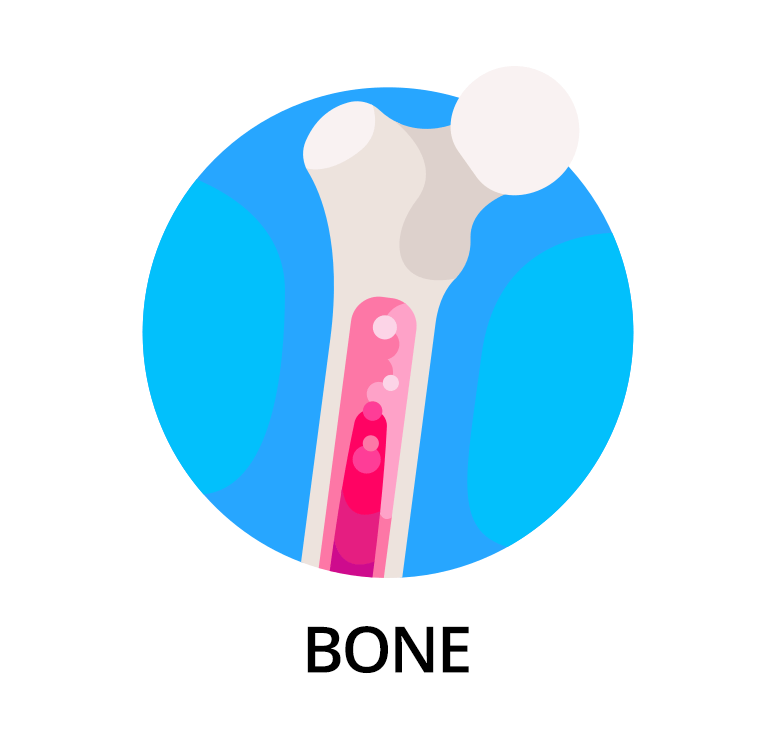 Bone