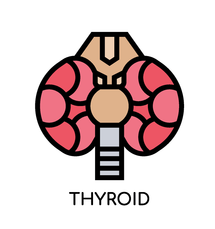 Thyroid